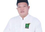 Didorong Masyarakat Maju Pilkada Deliserdang 2024, Said Hadi Siap Bertarung