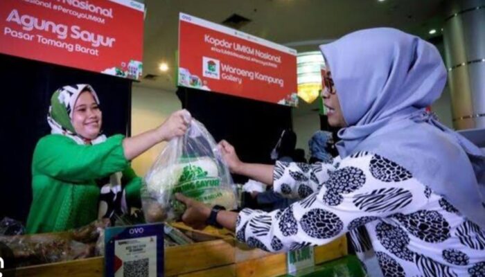 Ada Gap Pembiayaan UMKM Dengan Sektor Keuangan