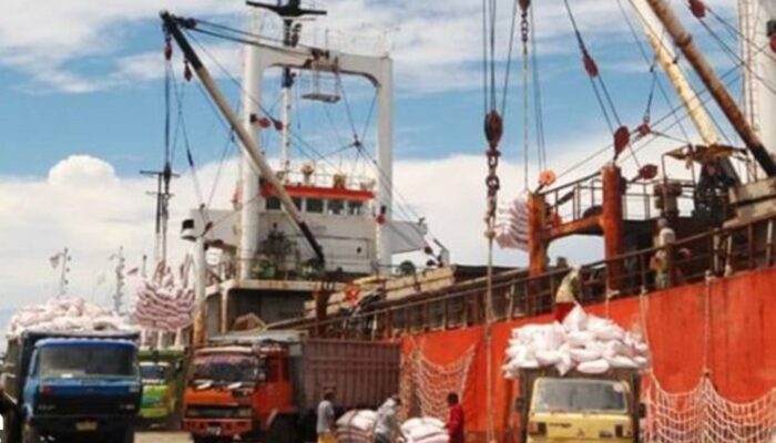 Kesepakatan IEU-CEPA Tercapai, Produk Indonesia Ke Eropa 0 Persen