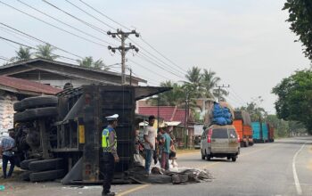 Truk Tronton Bermuatan Beras Bulog Terbalik Di Aceh Timur
