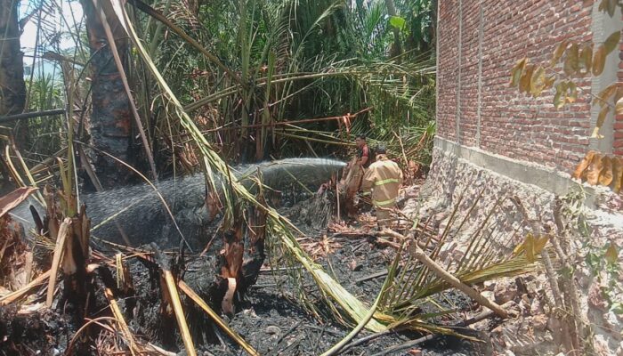 Lahan Rumbia Terbakar Di Bayu