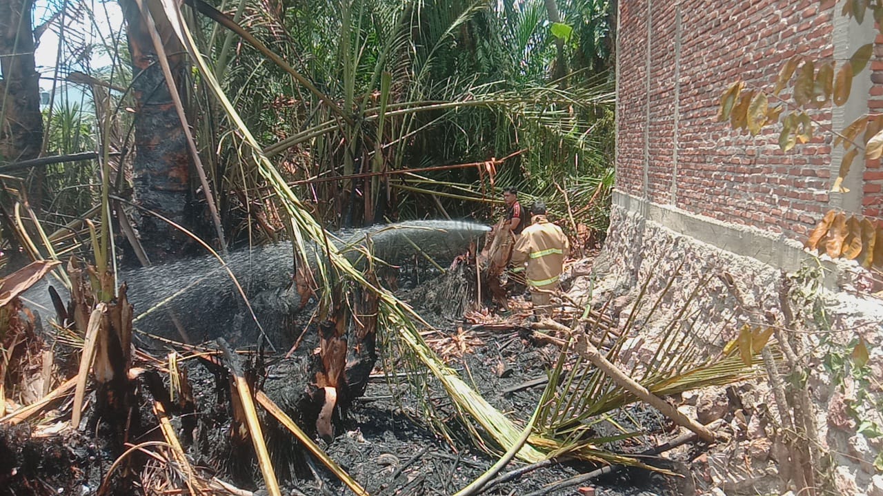 Lahan Rumbia Terbakar Di Bayu