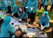 Memperingati HKG PKK Ke-52, TP PKK Kota Medan Ikut Lakukan Penanaman Cabai Secara Virtual