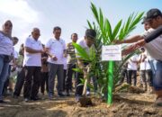 PTPN IV Regional I Gelar Program Penanaman Perdana Peremajaan Sawit Rakyat