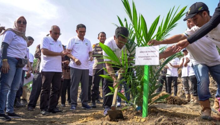 PTPN IV Regional I Gelar Program Penanaman Perdana Peremajaan Sawit Rakyat