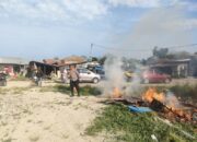 Polsek Percut Seituan Rubuhkan Dan Bakar 3 Barak Narkoba