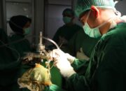 RS Adam Malik Berhasil Lakukan Operasi Stereotaktik Tumor Biopsi Perdana