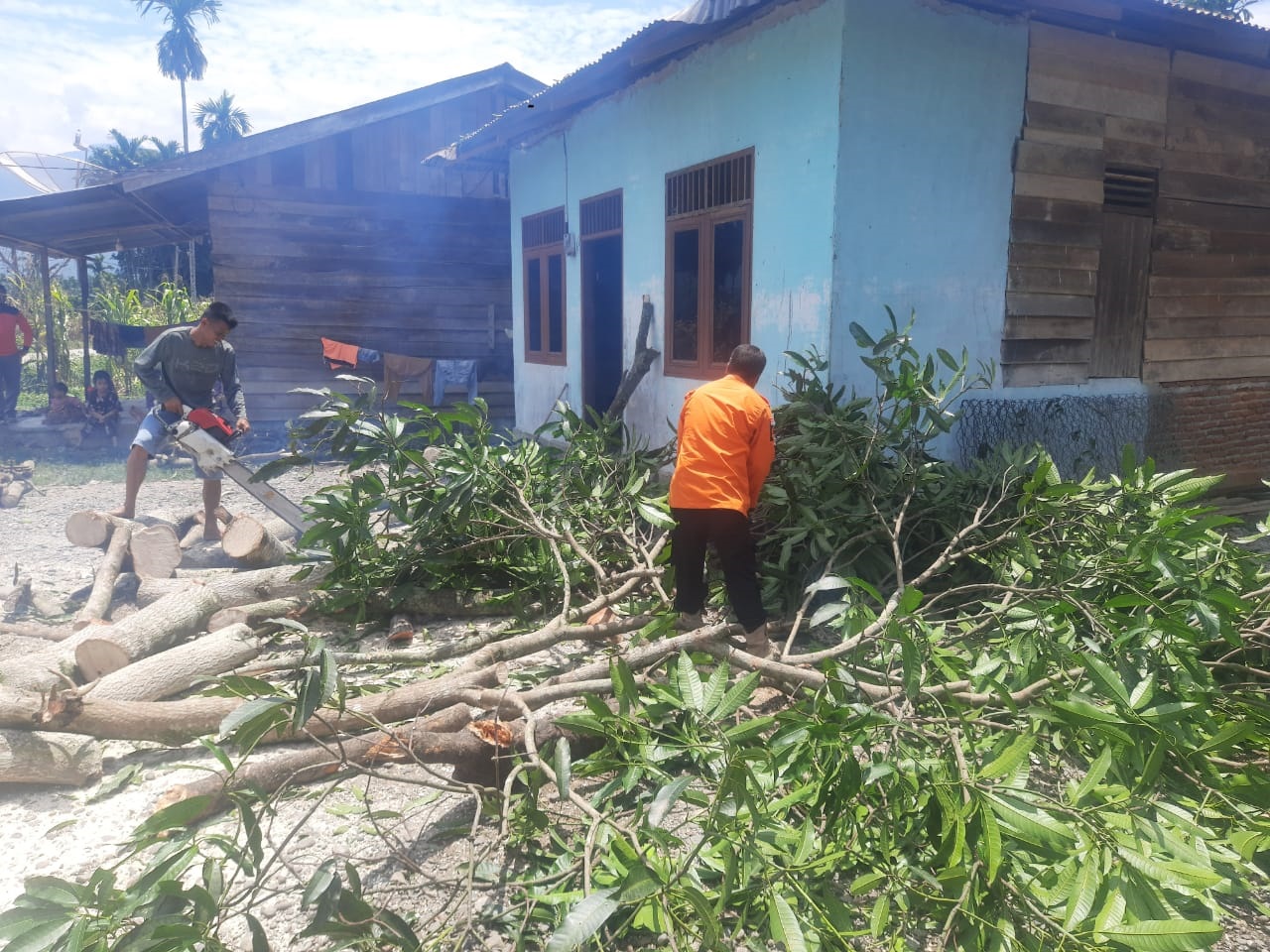 Agara Dilanda Angin Puting Beliung