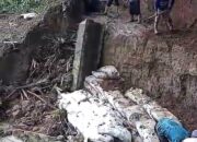 Saluran Irigasi Jebol, 30 Ha Lahan Pertanian Terancam Kekeringan