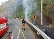 Lahan Ilalang Di Lereng Glee Ludah Terbakar