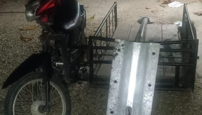 Curi Lampu Tenaga Surya, Dua Pria Diamankan Polsek Langsa Barat