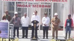 Presiden Jokowi dan lainnya saat peresmian pabrik Minyak Makan Merah. (Waspada/Edward Limbong).