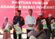 Jokowi Bagikan Sembako Di Padanglawas
