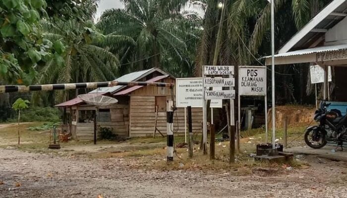 Pengambilan Buah Sawit PT Atakana Secara Sepihak Langgar Hukum