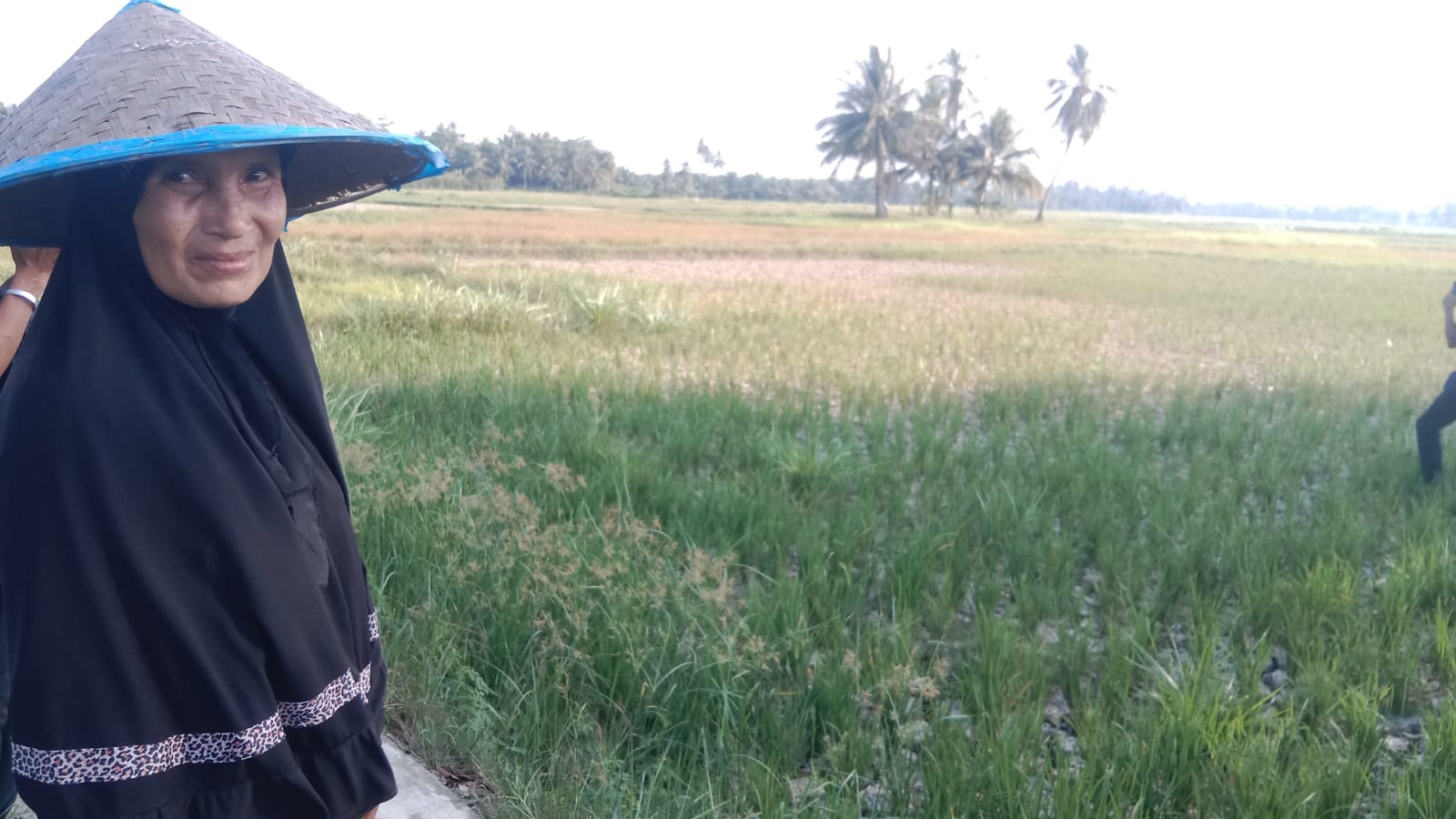 Kontraktor Lokal Segera Rampungkan Bendung Krueng Aceh Utara Kontraktor Lokal Segera Rampungkan Bendung Krueng Aceh Utara