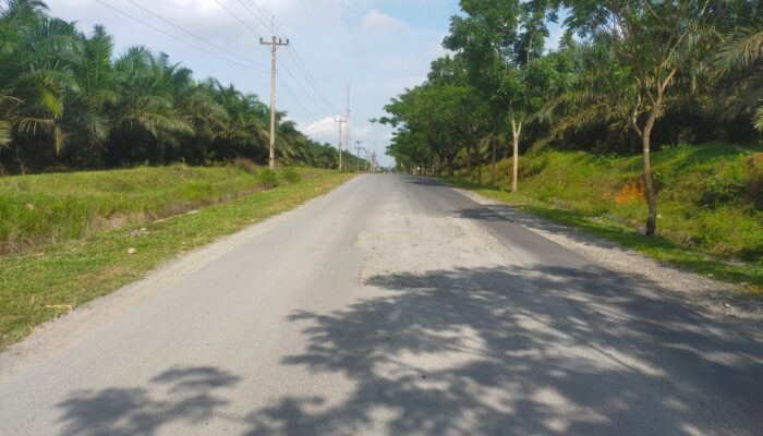 Diduga Lewati Masa Pemeliharaan, Proyek “Tambal Sulam” Tak Juga Rampung