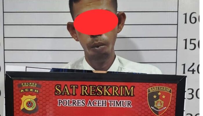 Diduga Rudapaksa Anak Kandung Hingga Melahirkan, Ayah Diringkus Polisi