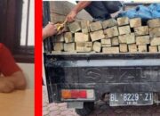 Kasus Pengangkutan Kayu Tanpa Izin Ke Jaksa