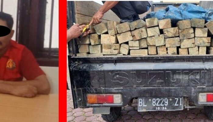 Kasus Pengangkutan Kayu Tanpa Izin Ke Jaksa