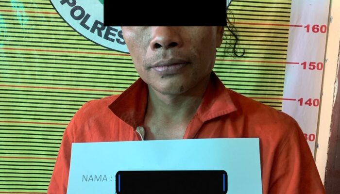Tanam Ganja Di Depan Rumah, Warga Samosir Ditangkap Polisi