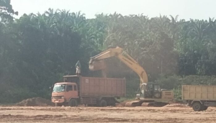 Pemda Diminta Tertibkan Pengerukan Tanah Ilegal Di Hutaraja Tinggi