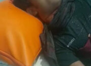 Harimau Kembali Terkam Warga Di Kawasan TNGL