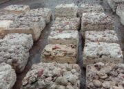 Ekspor Karet Sumut Turun Tajam Akibat Pasokan BOKAR Semakin Ketat