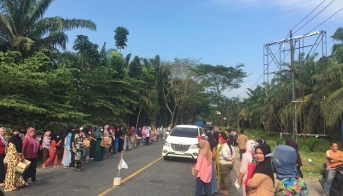 Gaji Masih Tertunggak, Karyawan PT. PSU Tanjung Kasau Minta-minta Di Jalan