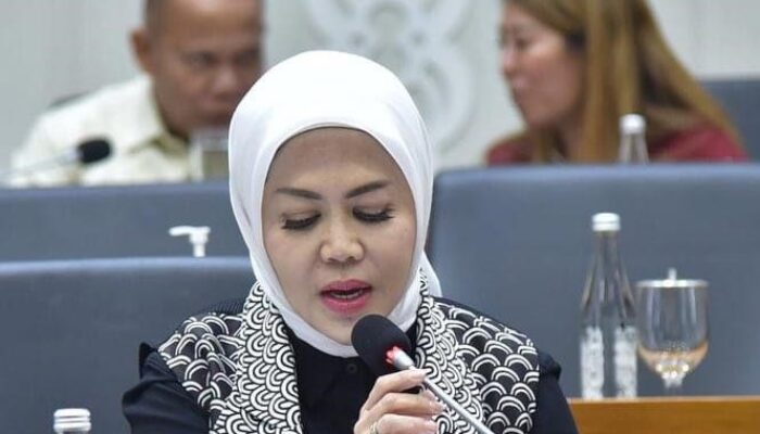 Integrasi Tiktok Tokpedia Untungkan UMKM, Ini Kata Anggota Komisi VI DPR