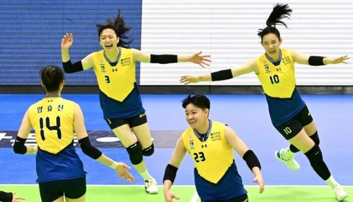 Hillstate Juara Liga Voli Korea