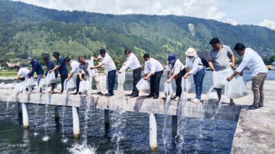 DKP Provsu Bersama Pemkab Samosir Tabur 30 Ribu Benih Nila Di Danau Toba