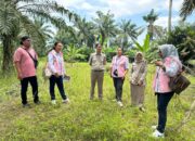 Srikandi PLN Gandeng Kantah Langkat, Dukung Pengamanan Asset Dan Survey Lokasi Bersama