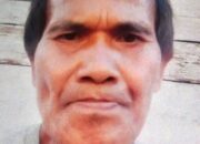 Pencari Kayu Hilang Di Hutan