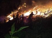 Hutan Dan Lahan Di Aceh Tenggara Terbakar