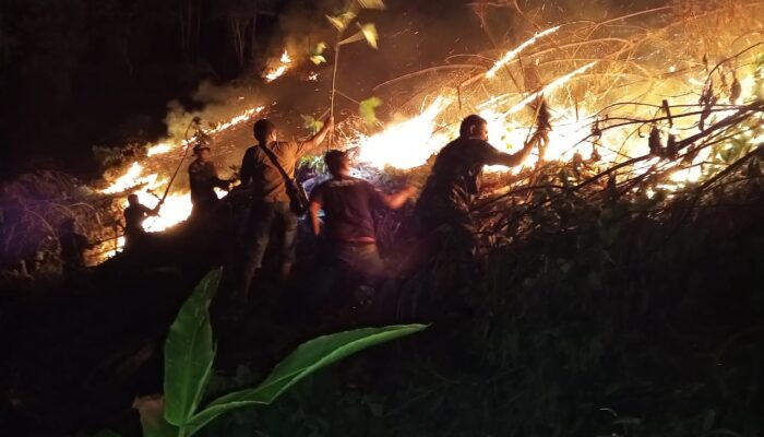 Hutan Dan Lahan Di Aceh Tenggara Terbakar