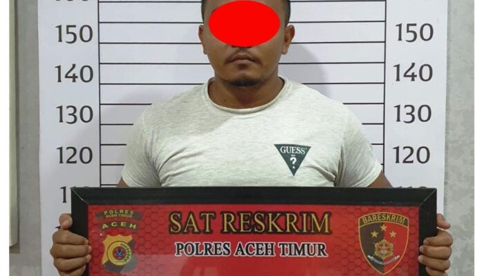 Gegara Ditagih Utang, Warga Idi Cut Aniaya Rekan Sekampung