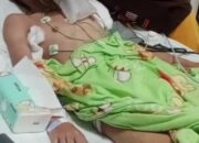 Siswa Korban Dugaan Penganiayaan Oknum Kepala SMKN 1 Siduaori Meninggal Dunia