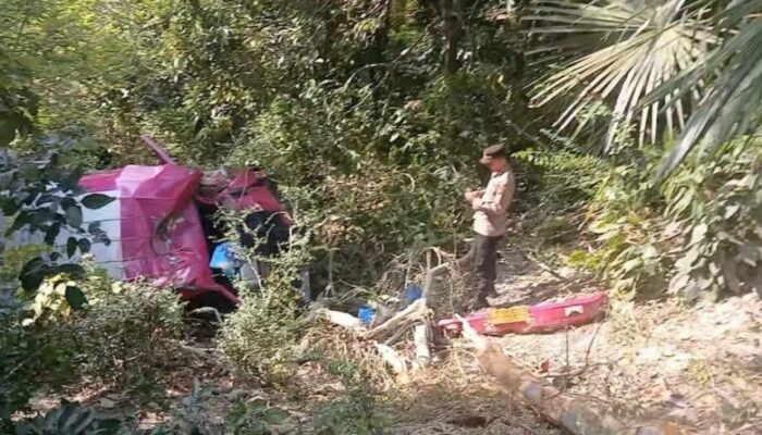 Hilang Kendali, Mikrobus Terjun Ke Jurang Di Krueng Raya