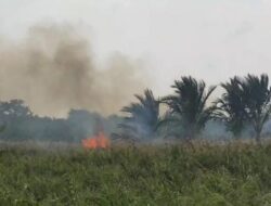 Kemarau, Lahan Kosong Mulai Terbakar Di Aceh Timur