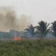 Kemarau, Lahan Kosong Mulai Terbakar Di Aceh Timur