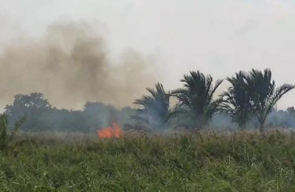 Kemarau, Lahan Kosong Mulai Terbakar Di Aceh Timur