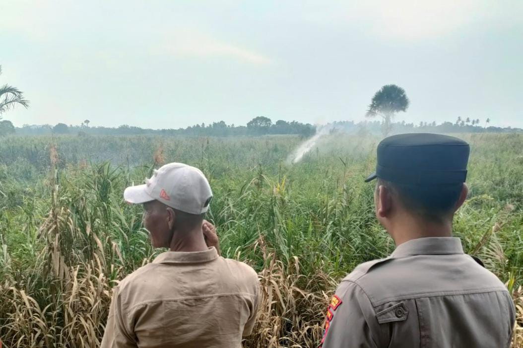 Kemarau, Lahan Kosong Mulai Terbakar Di Aceh Timur