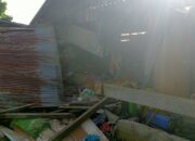 Di Aceh Tengah, Gajah Ngamuk Warga Berhamburan