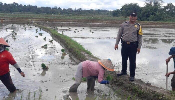 Musim Tanam Padi, Bhabinkamtibmas Polres P. Siantar Sambangi Warga Binaan