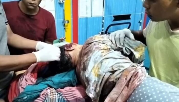 Wanita Lansia Ditemukan Tewas Mengenaskan, Diduga Diterkam Harimau