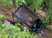 Gran Max Bawa Babi Tergelincir Ke Jurang Gunung Trans