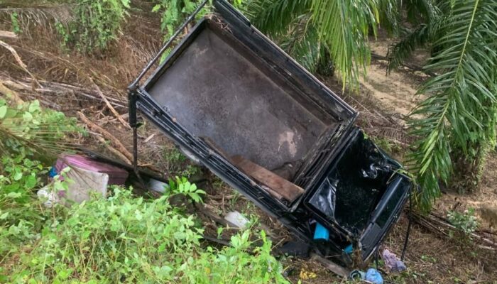 Gran Max Bawa Babi Tergelincir Ke Jurang Gunung Trans