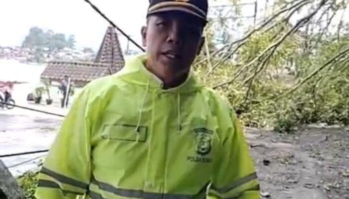 Gercep Polsek Parapat Atasi Pohon Tumbang Di Jalan P. Siantar – Parapat