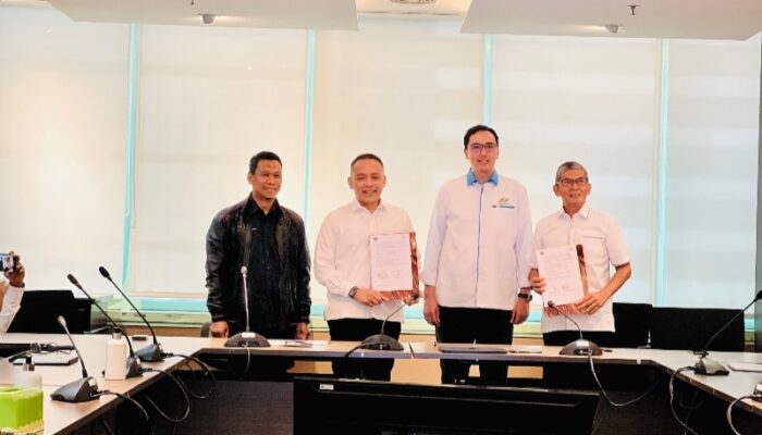 Strategi Awal PalmCo Pasca Efektif KSO Dan Kelola Perkebunan Sawit Terluas Di Dunia