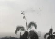 Dua Heli Militer Malaysia Tabrakan Di Udara, 10 Tewas